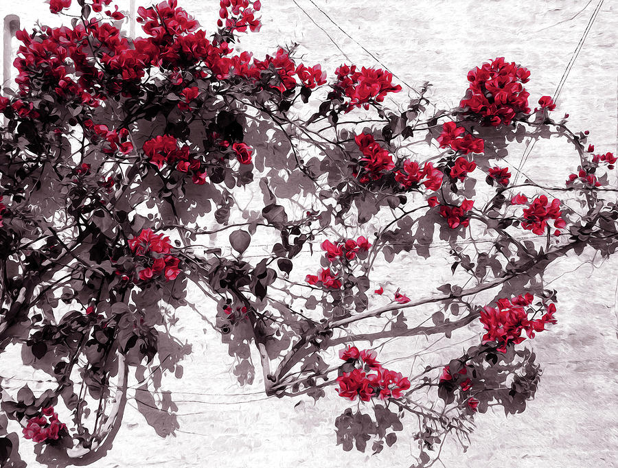 Red Flowers on White Walls Painting by AM FineArtPrints
