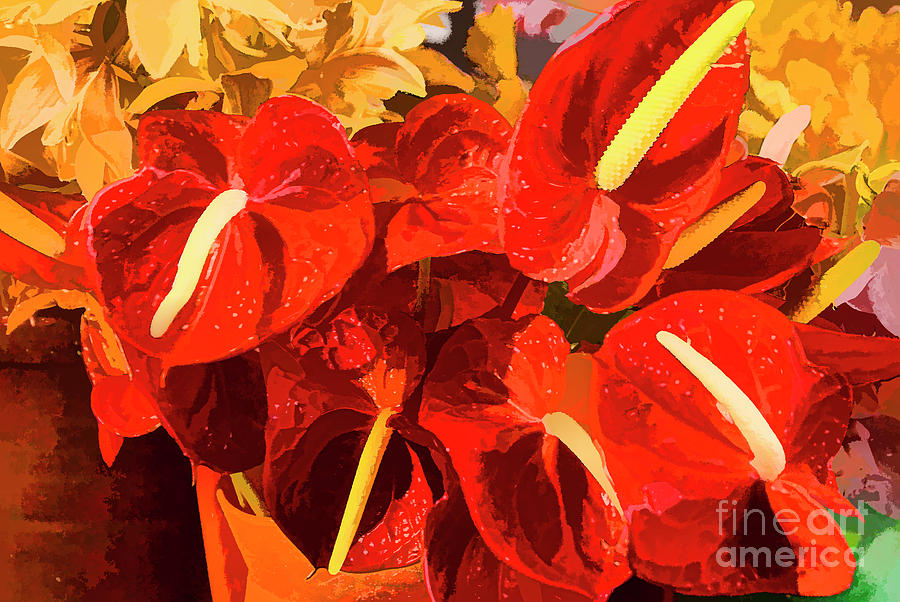 Red Flowers Digital Art by Rick Bragan