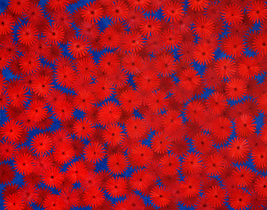 Flower Painting - Red Flowers Rootless by Sirpa Mononen