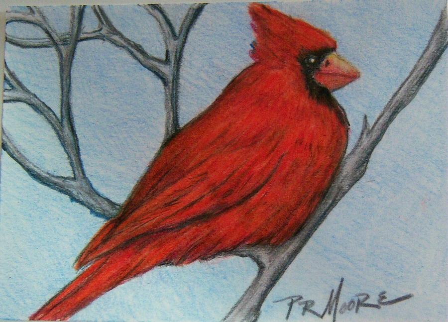 Red Fluff Drawing by Patricia R Moore