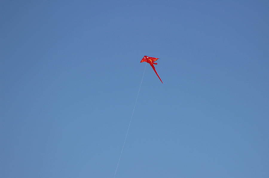 Huntington Beach Photograph - Red Flying Stingray by Colleen Cornelius Huntington Beach Photograph - Red Flying Stingray by Colleen Cornelius