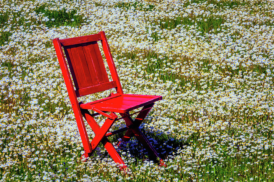 Red Folding Chair With Daisies Photograph by Garry Gay