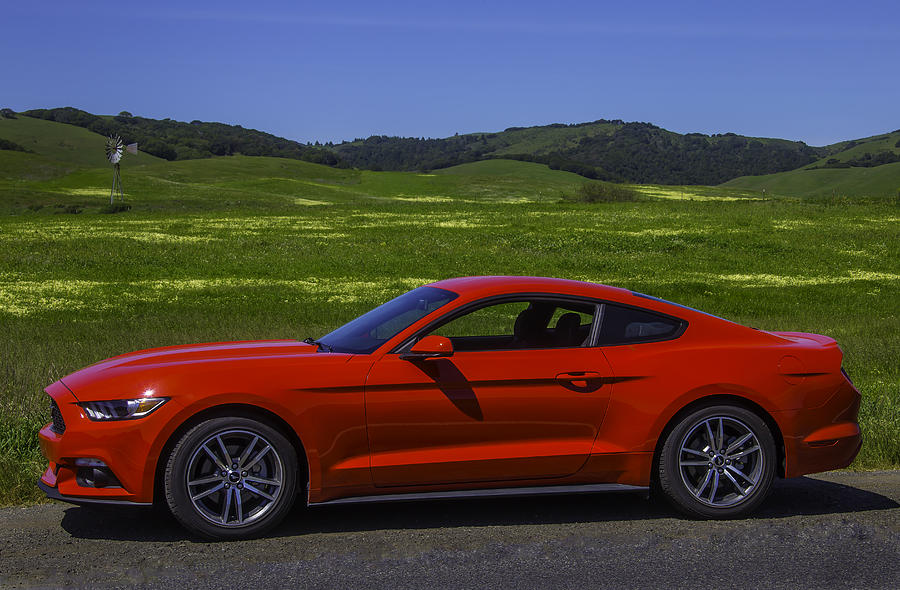 Red Ford Mustang Photograph by Garry Gay