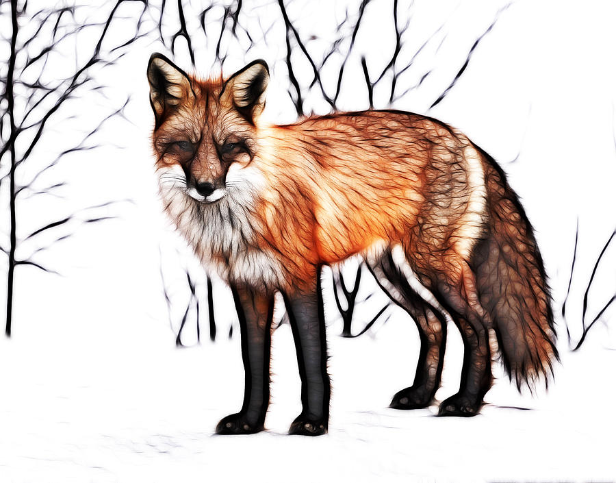 Red Fox Digital painting Painting by Georgeta Blanaru