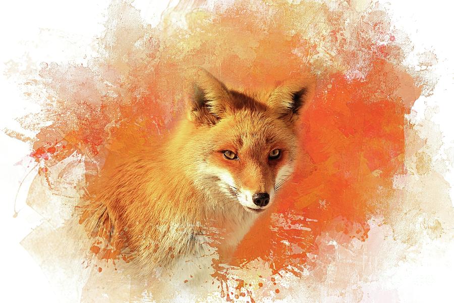 Wildlife Photograph - Red Fox by Eva Lechner