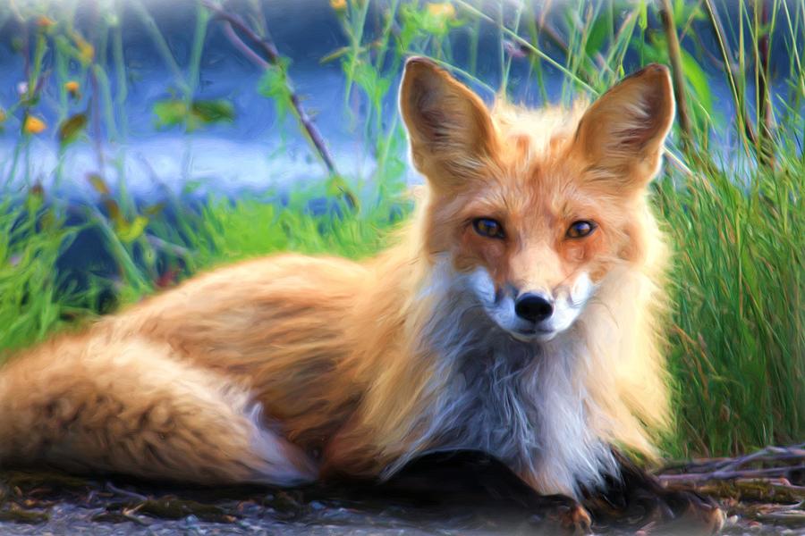 Red Fox Painting by Joy of Life Art Gallery - Fine Art America