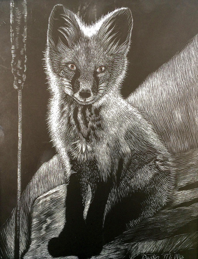 Red Fox Kit Drawing by Dustin Miller