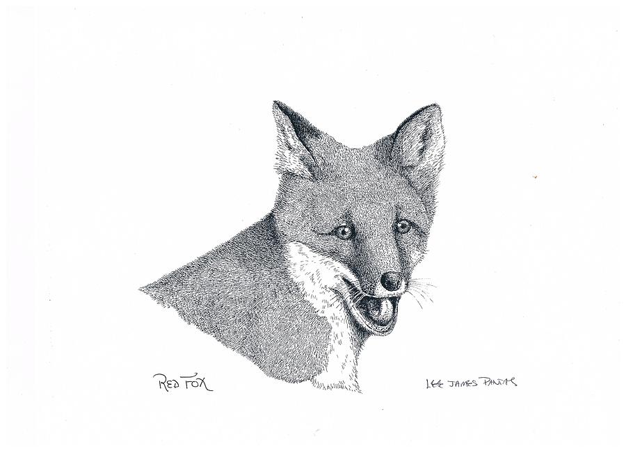 Fox Drawing - Red Fox by Lee Pantas Fox Drawing - Red Fox by Lee Pantas