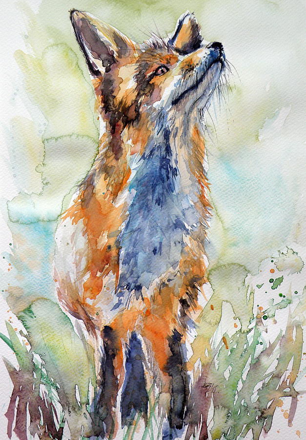 Fox Painting - Red fox listening by Kovacs Anna Brigitta