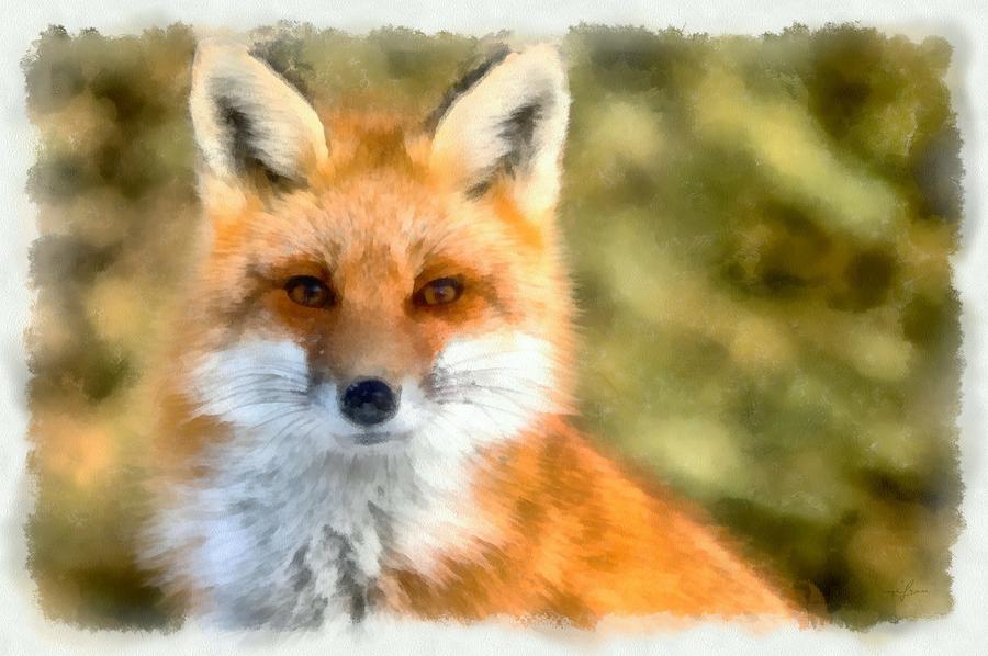 Red Fox Painting by Maciek Froncisz