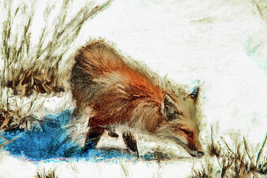 Winter Photograph - Red fox painted series by Geraldine Scull