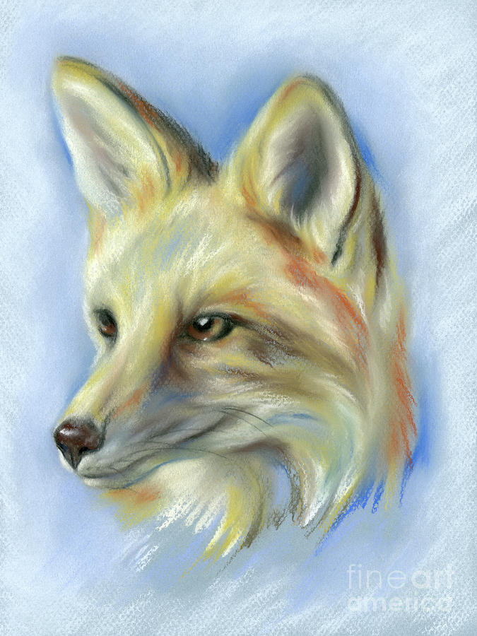 Red Fox Portrait Pastel by MM Anderson