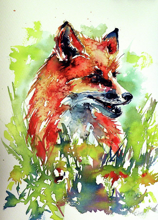 Red fox relax Painting by Kovacs Anna Brigitta