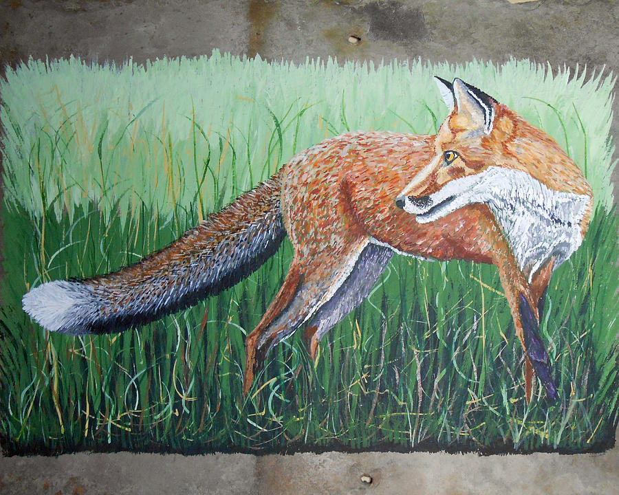 Wildlife Painting - Red Fox by Sandra Wilson