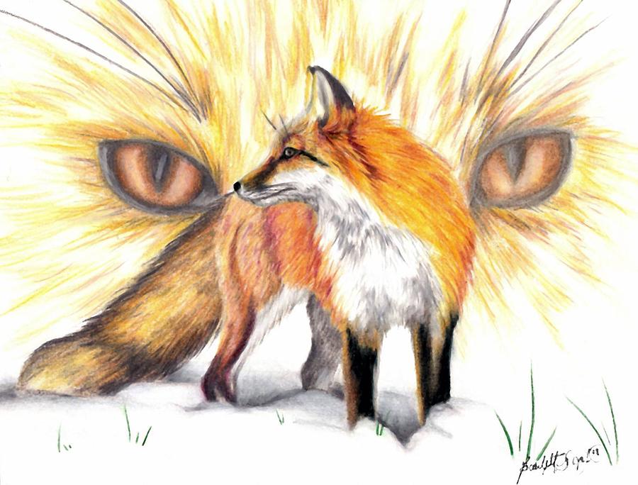Red Fox Drawing by Scarlett Royal