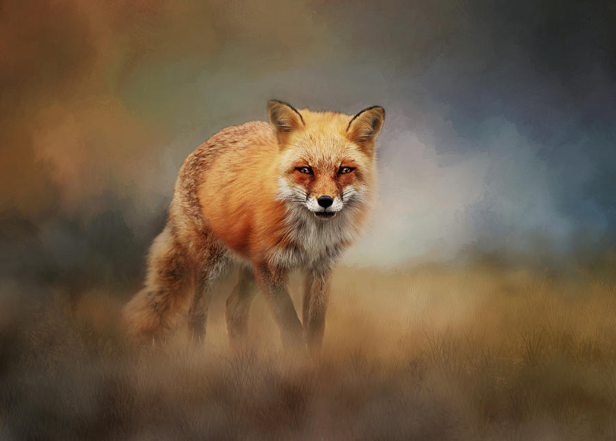 Red Fox In Foggy Landscape Digital Art