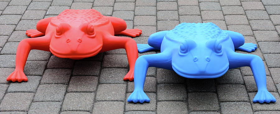 Red Frog Blue Frog Photograph by Stewart Helberg