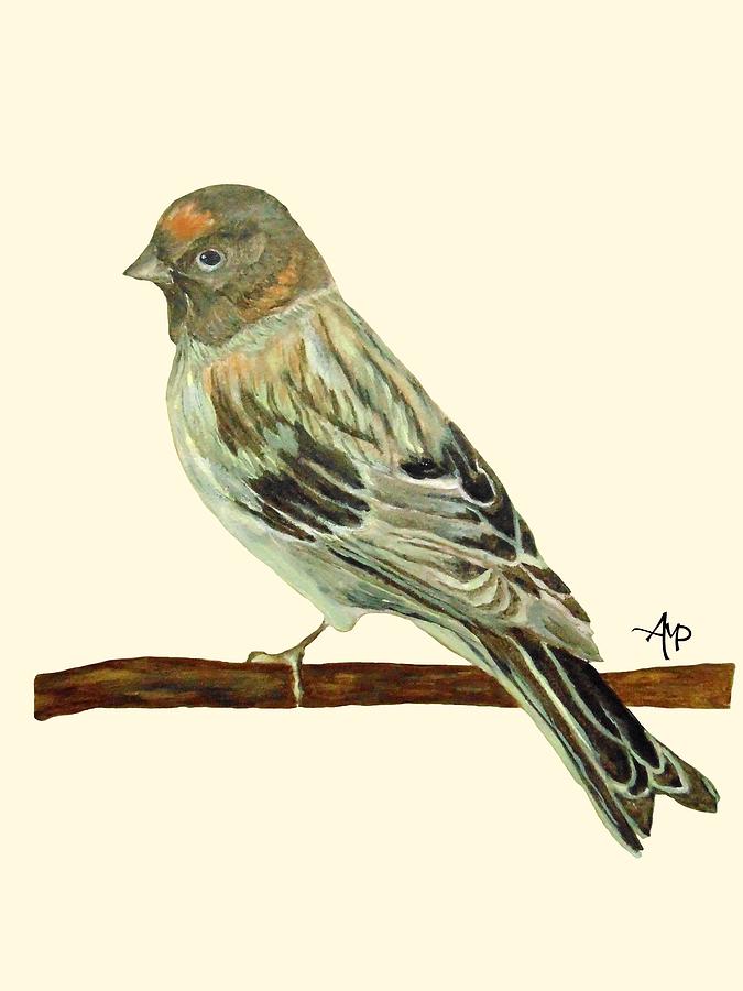 Red-Fronted Serin Painting by Angeles M Pomata