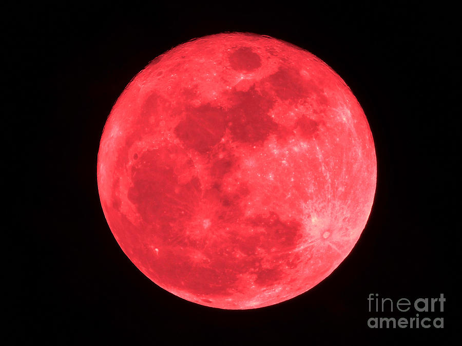 Red Full Moon Photograph by D Hackett