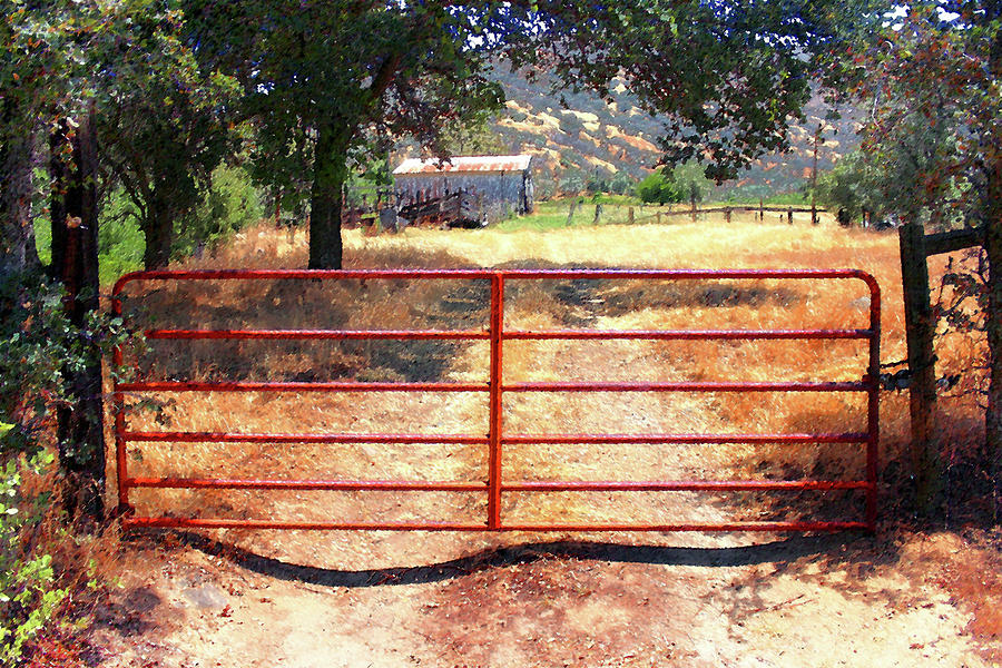 Red Gate Photograph by Timothy Bulone