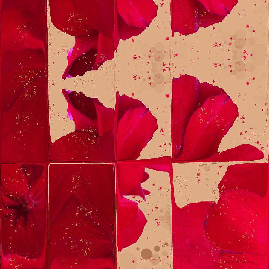 Red Geranium Fragments Digital Art by Judi and Don Hall