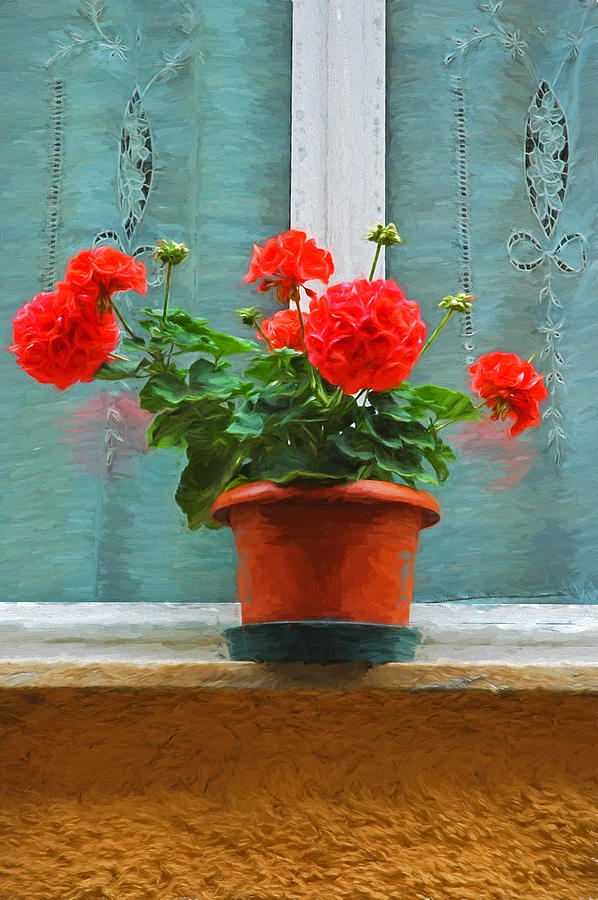 Red Geraniums Photograph by Allen Beatty