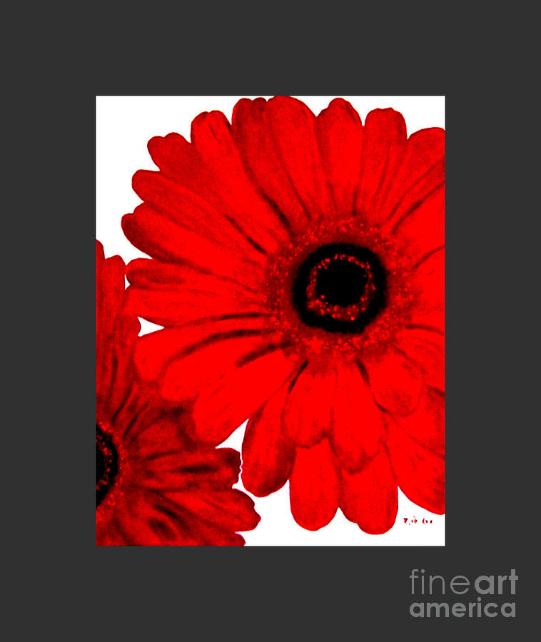 Daisy Painting - Red Gerber Border     Digital Art  by Marsha Heiken