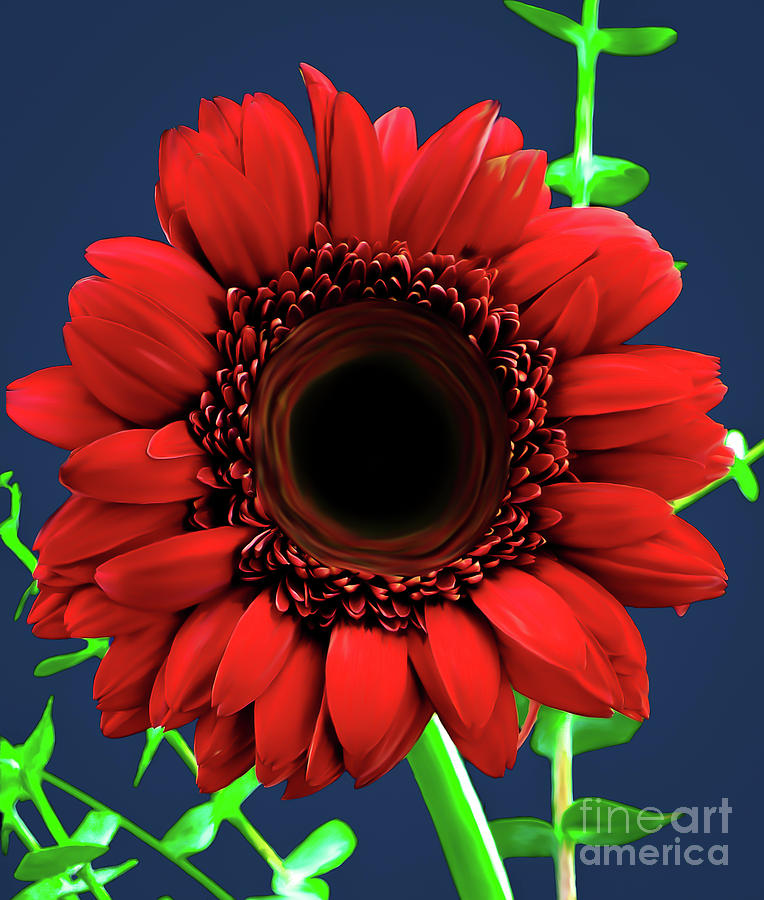 Red Gerbera Daisy Painted version 1 by Chandra Nyleen Red Gerbera Daisy Painted version 1 by Chandra Nyleen