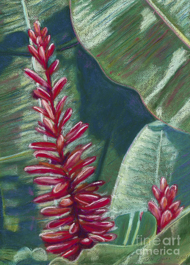 Red Ginger Painting by Patti Bruce - Printscapes
