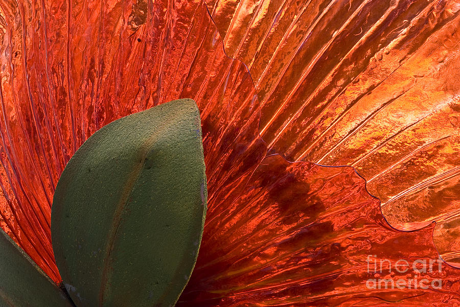 Red Glass Flower Photograph by Tim Hightower