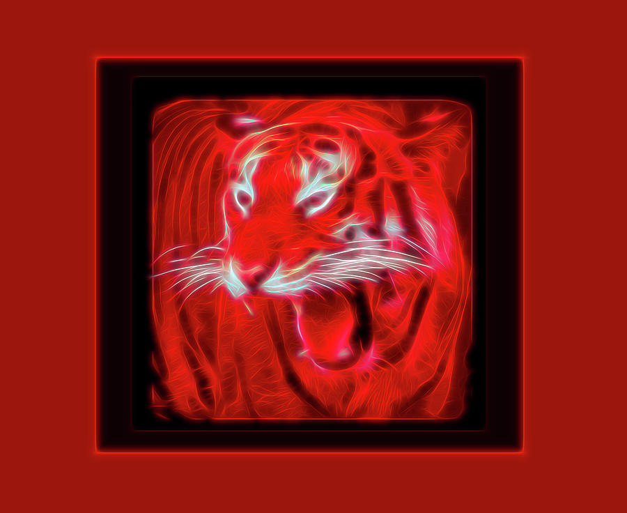 Red Glow Portrait of a Tiger Photograph by Aimee L Maher ALM GALLERY