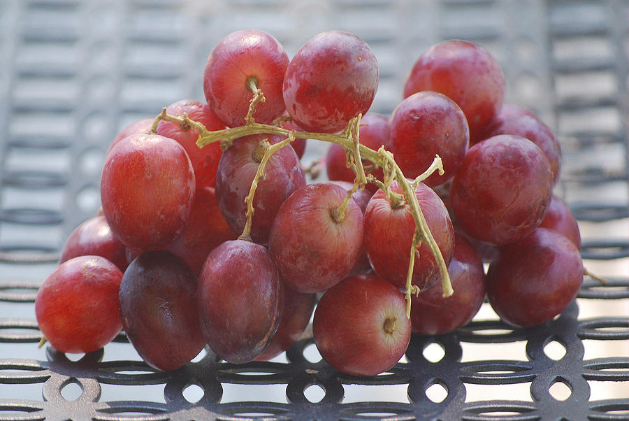 Grape Photograph - Red Grapes by Melinda Schneider