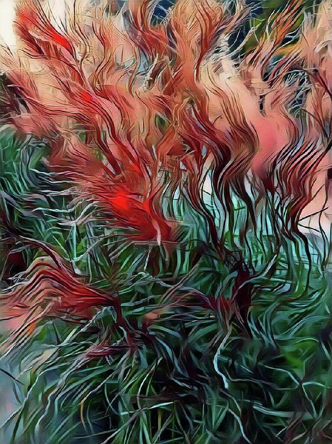 Red grasses Mixed Media by Susanne Baumann