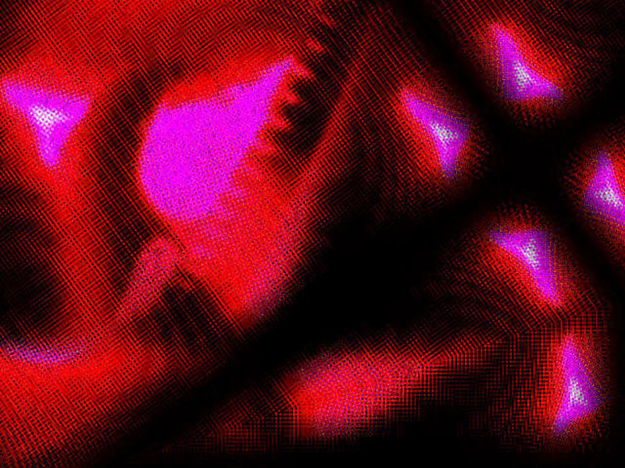 Red Guitar 5 Digital Art by The Lovelock experience