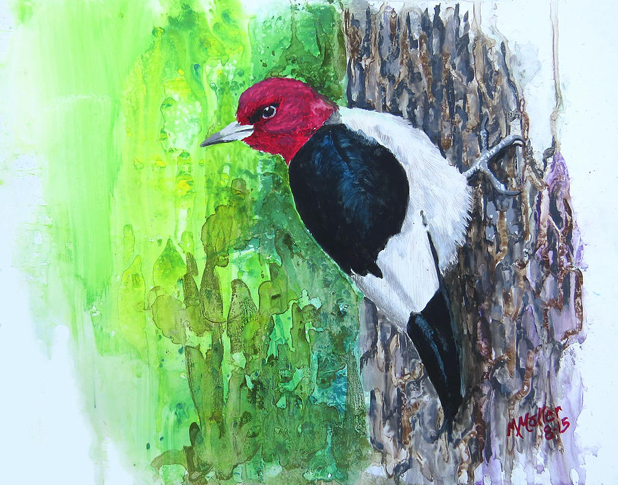 Red Headed Woody by Marcus Moller Red Headed Woody by Marcus Moller