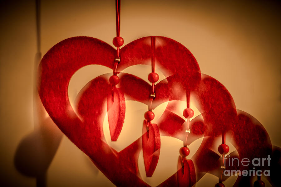 Red hearts Photograph by Claudia M Photography