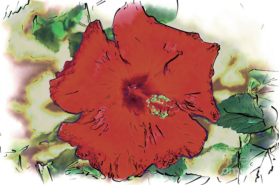 Red Hibiscus Bloom Digital Art by Kirt Tisdale