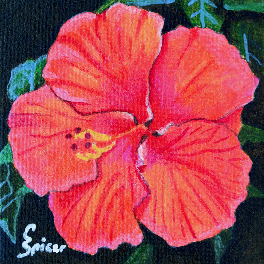 Red Hibiscus Painting by Christopher Spicer