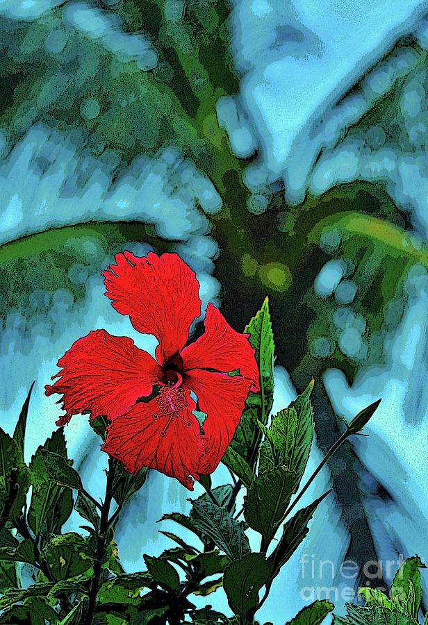Red Hibiscus Photograph by Craig Wood