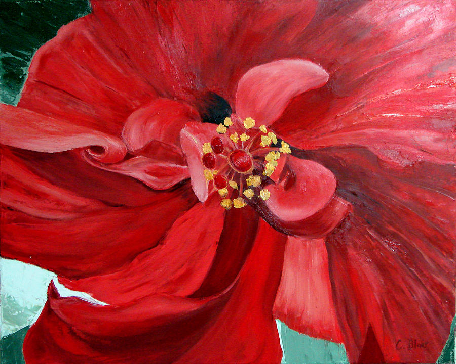 Red Hibiscus Painting by Cynthia Blair
