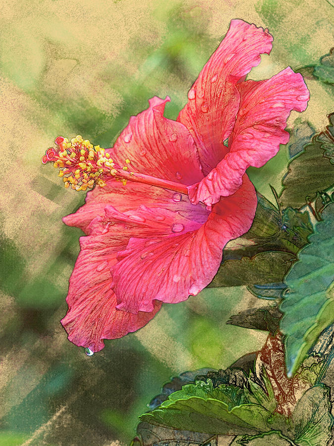 Red Hibiscus Digital Art by Mark Mille