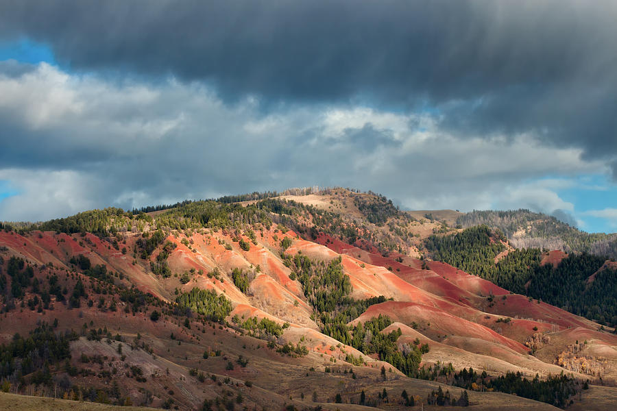 Red Hills Landscape Photograph by Kathleen Bishop