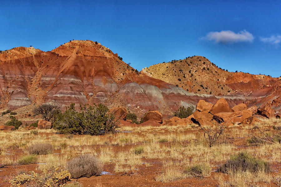 Red Hills Near the Ghost Ranch NM DSC09819 Photograph by Greg Kluempers