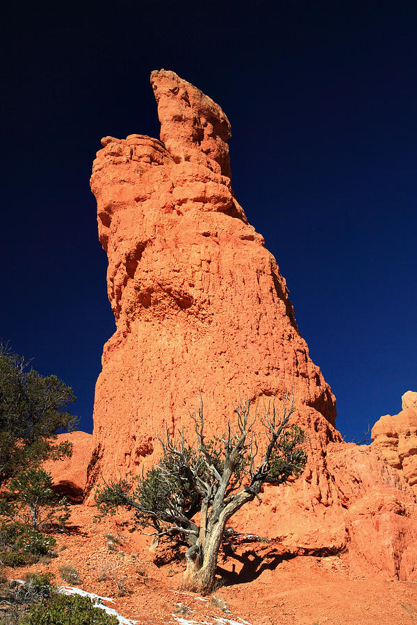 Nature Photograph - Red Hoodoos of Red Canyon state park by Pierre Leclerc Photography