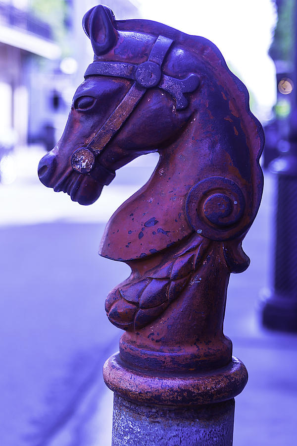 New Orleans Photograph - Red Horse Hitching Post by Garry Gay