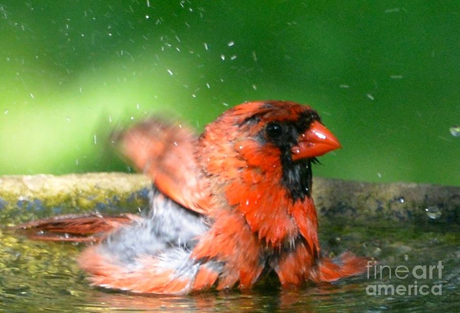 Red Hot Bath Photograph by David Taylor