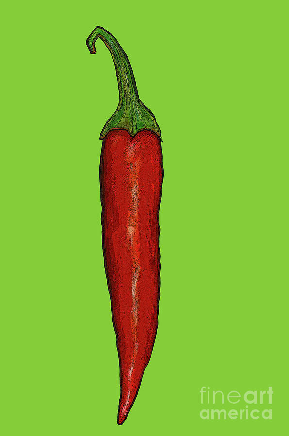 Red hot chili pepper Painting by Sarah Thompson-Engels