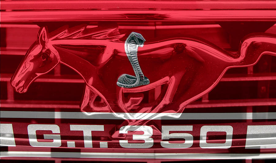 Red hot mustang Photograph by David Lee Thompson