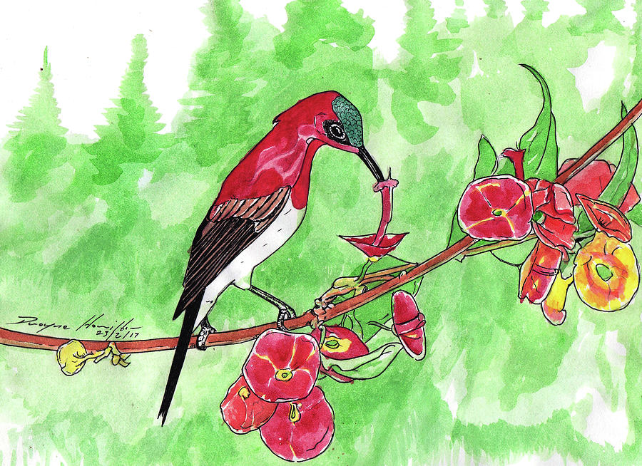 Red Humming Bird Painting