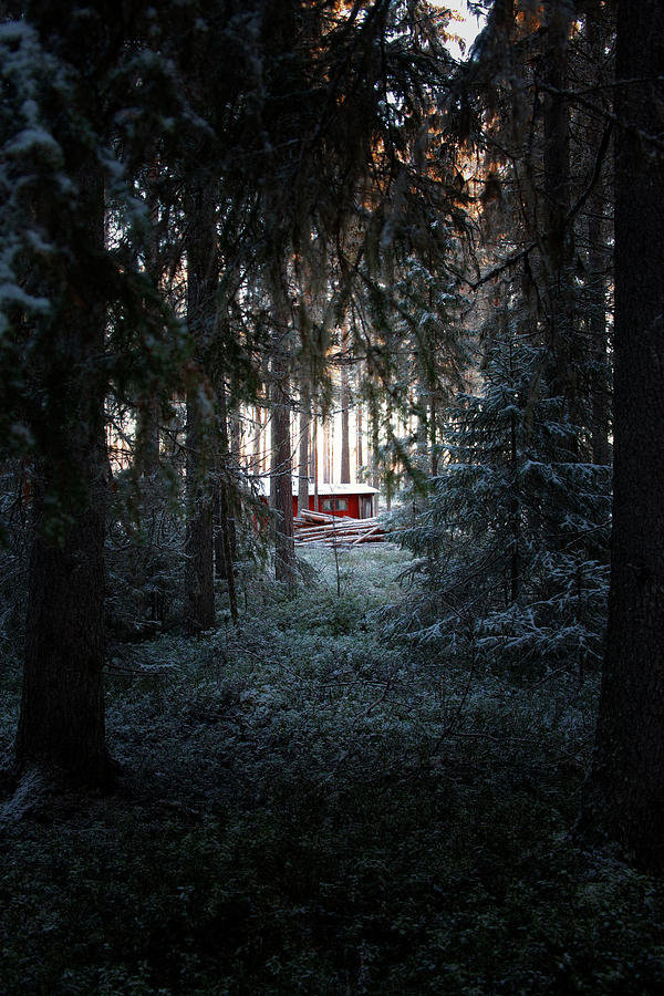 Red hut in a dark wintry forest Photograph by Ulrich Kunst And Bettina Scheidulin
